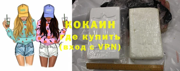 гидра Костерёво