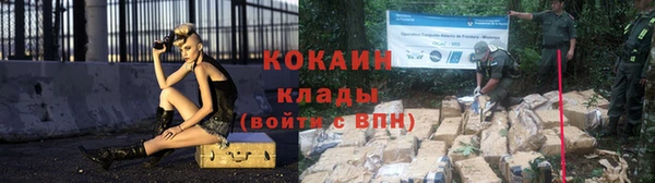 гидра Костерёво
