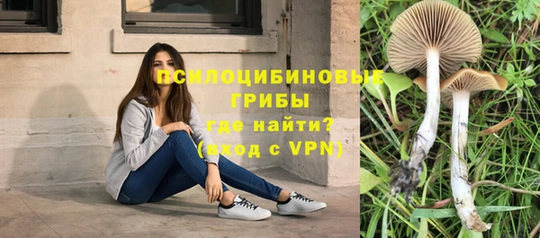 метадон Коряжма