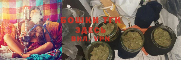 гидра Костерёво