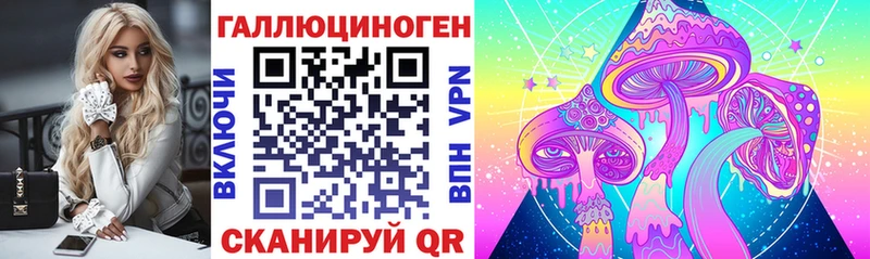 Псилоцибиновые грибы Psilocybine cubensis Губкин